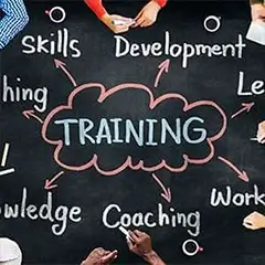 Train Your Team