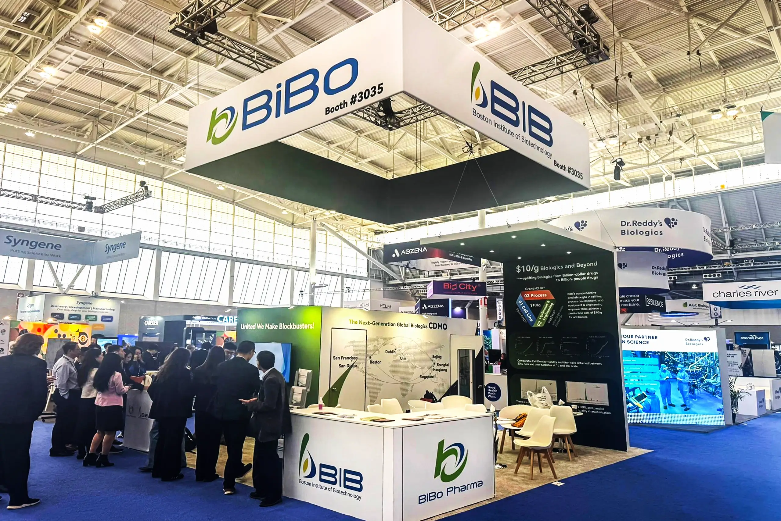 BiBo